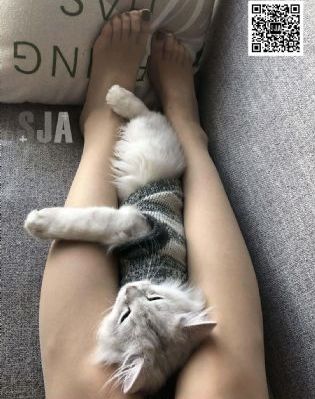 《性88分钟》免费在线观看_视频网址大全